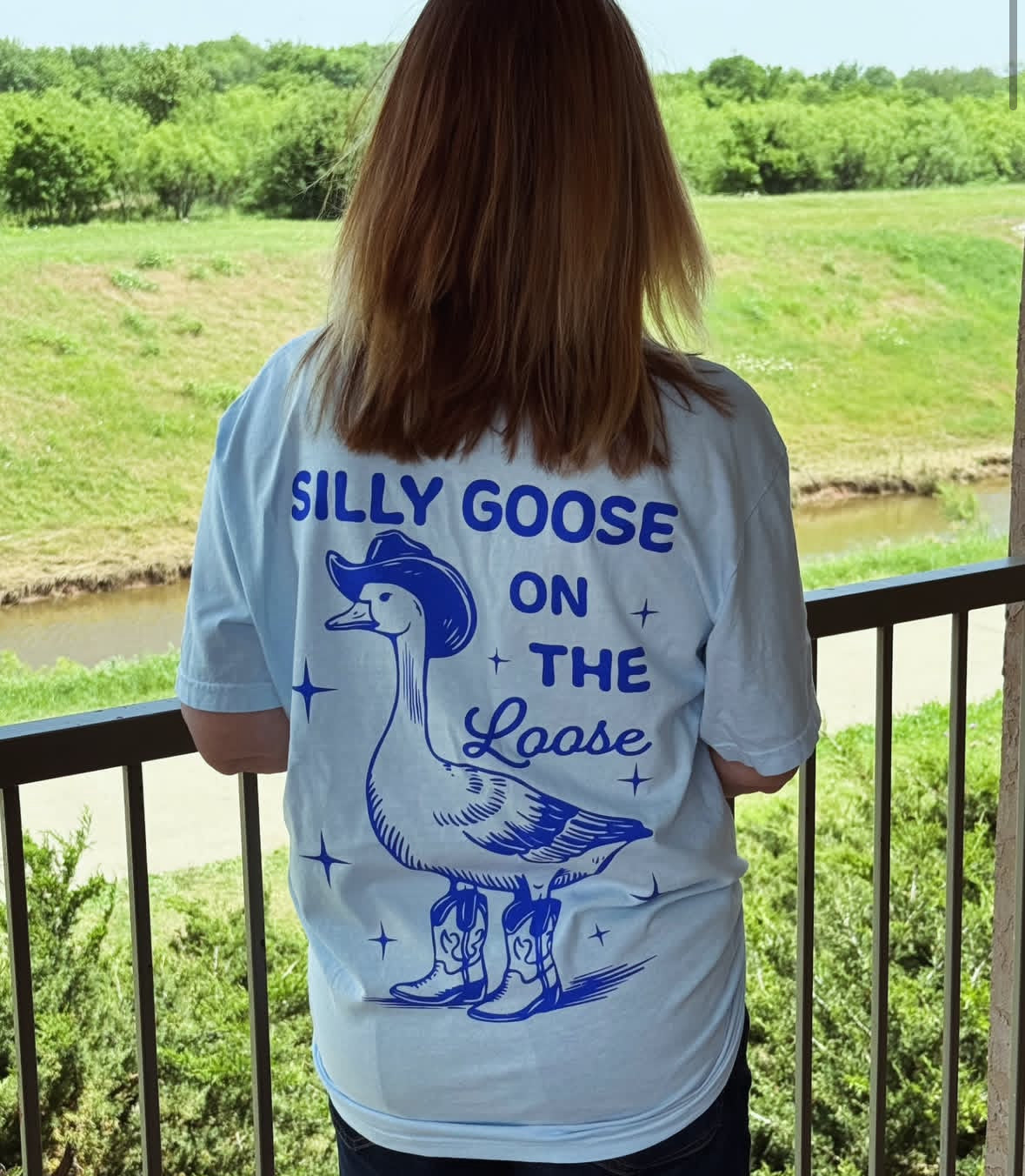 Silly Goose on the Loose Graphic Tee or Crewneck